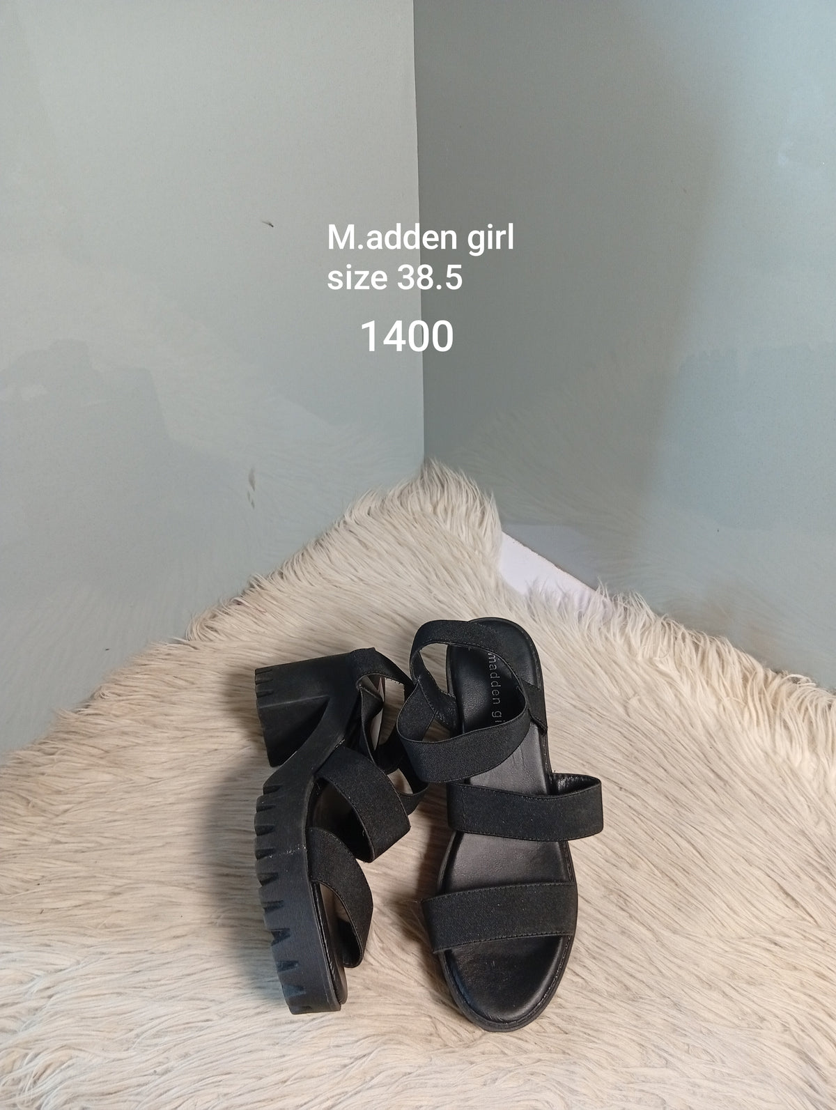 Madden girl 38.5