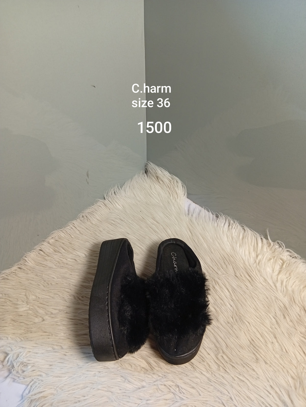 Charm 36