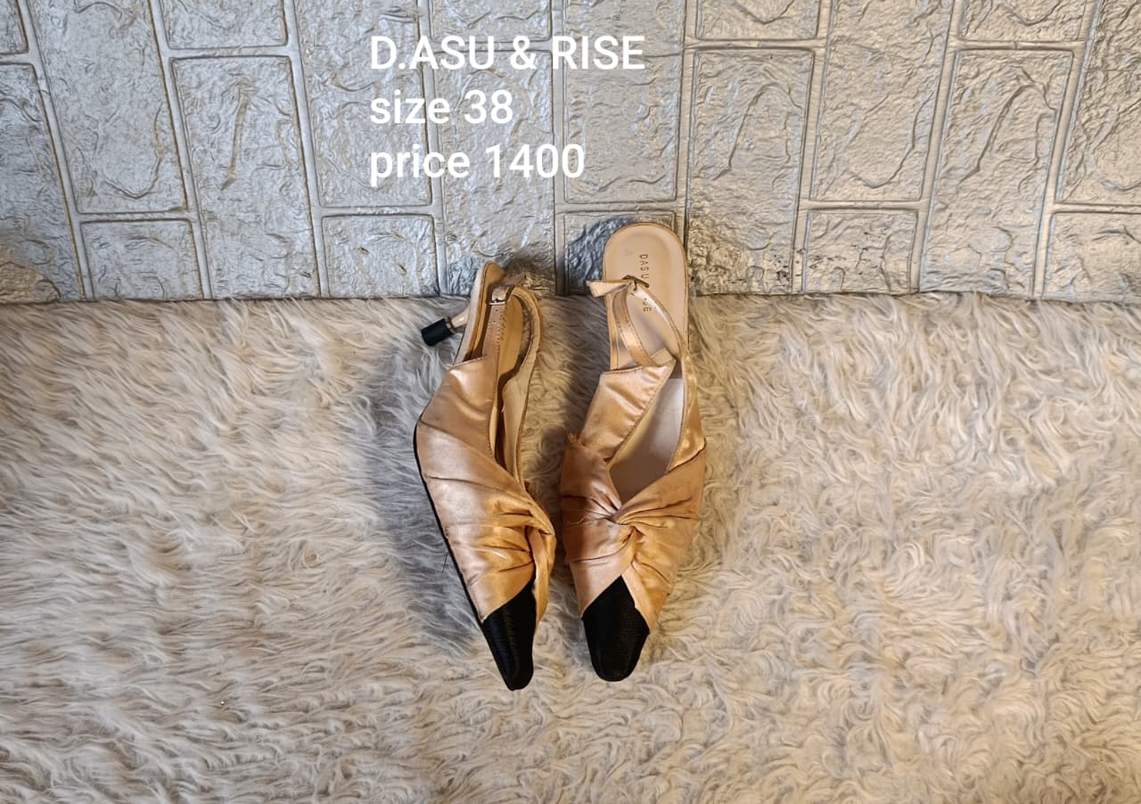 Dasu Rise 38
