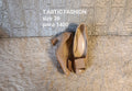 Tabtic fashion 36