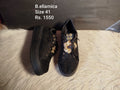Bellamica 41