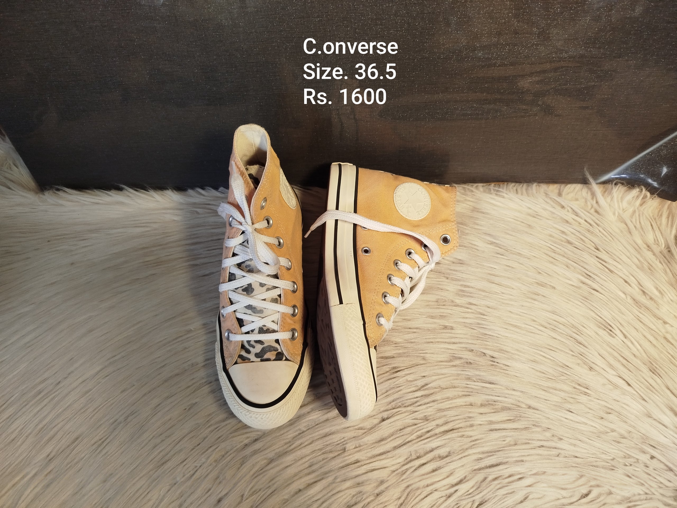 Converse 36.5