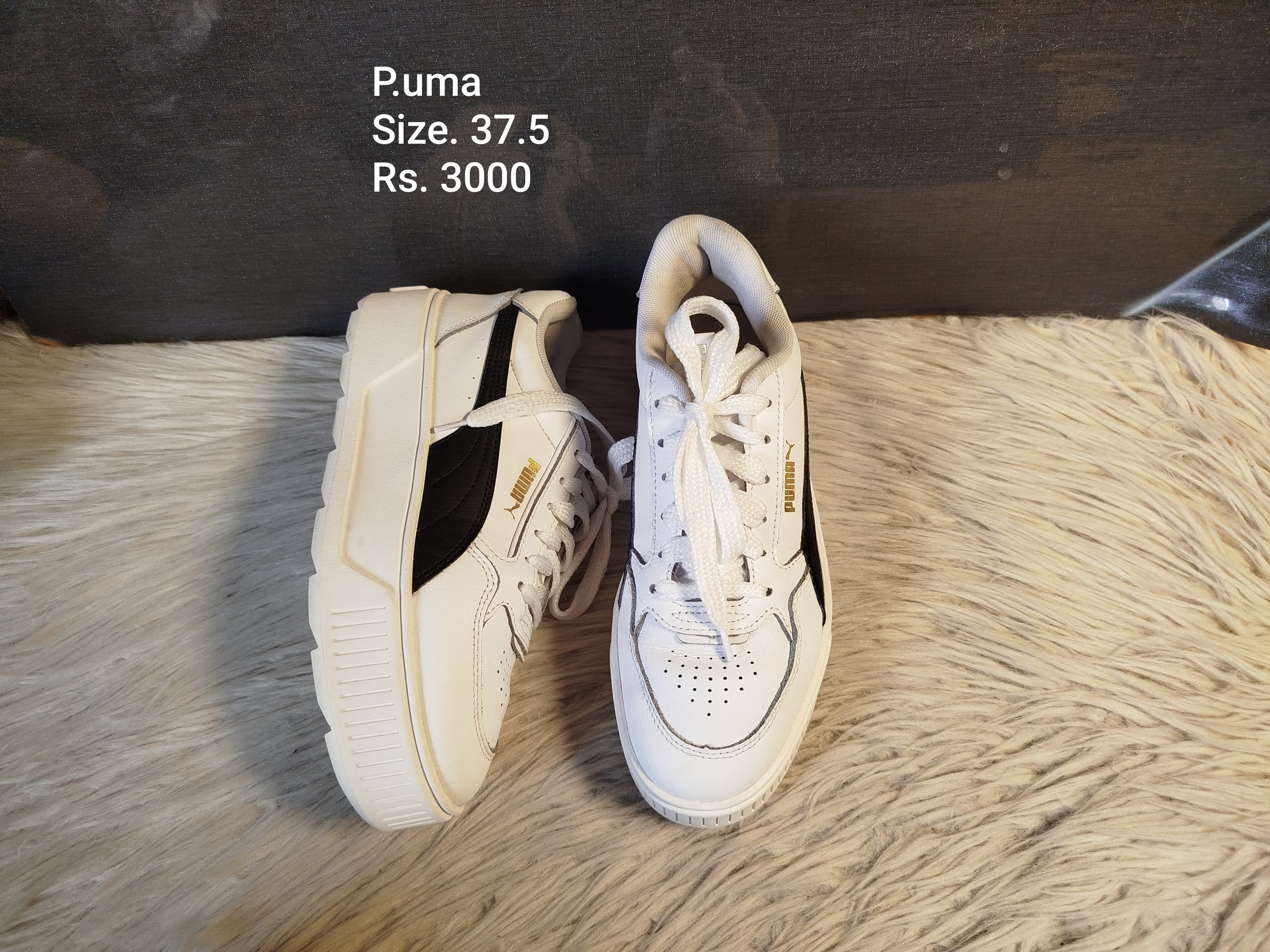 Puma 37.5