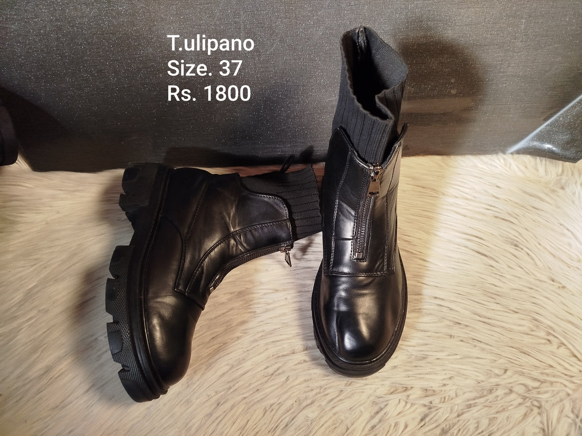 Tulipano 37