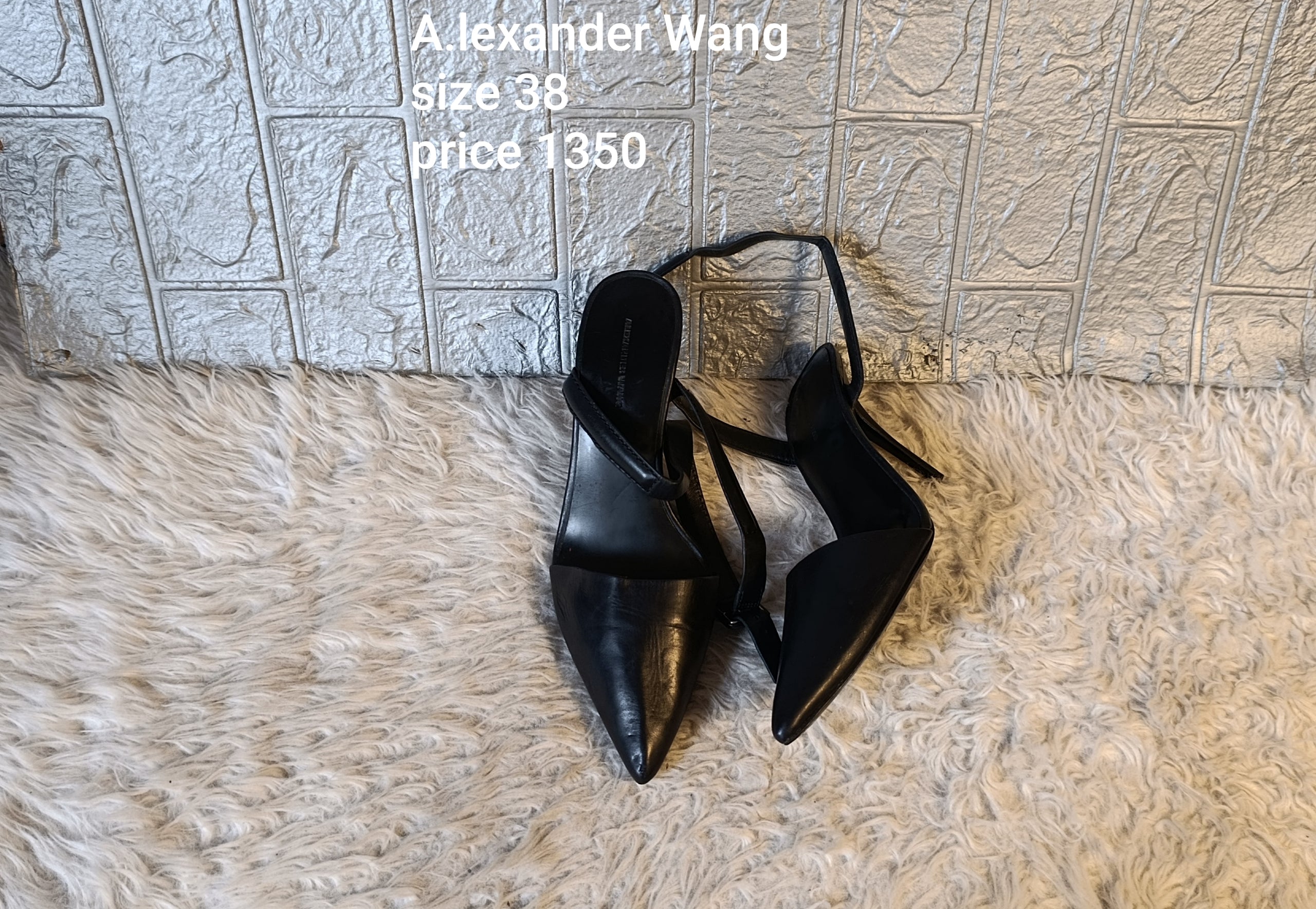 Alexander Wang 38