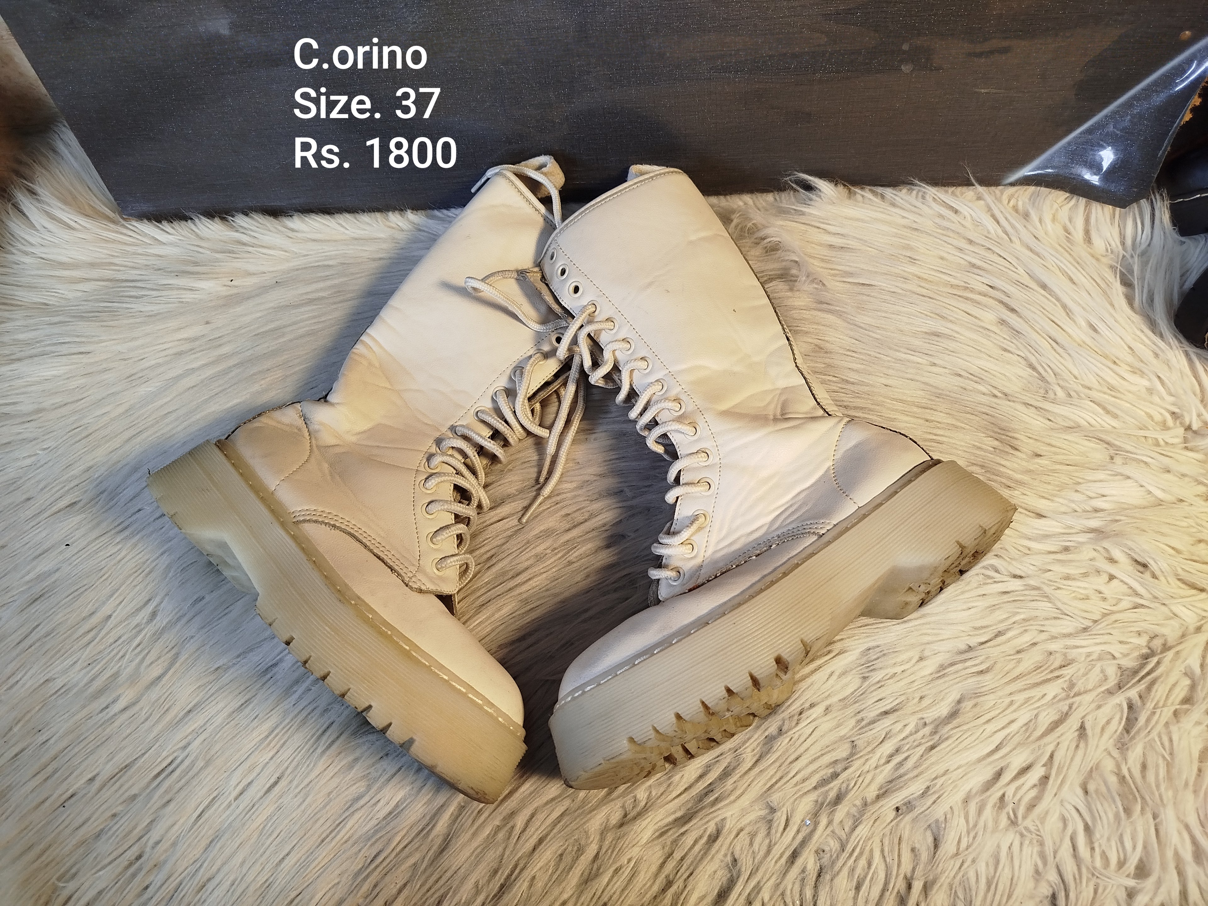 Corino 37