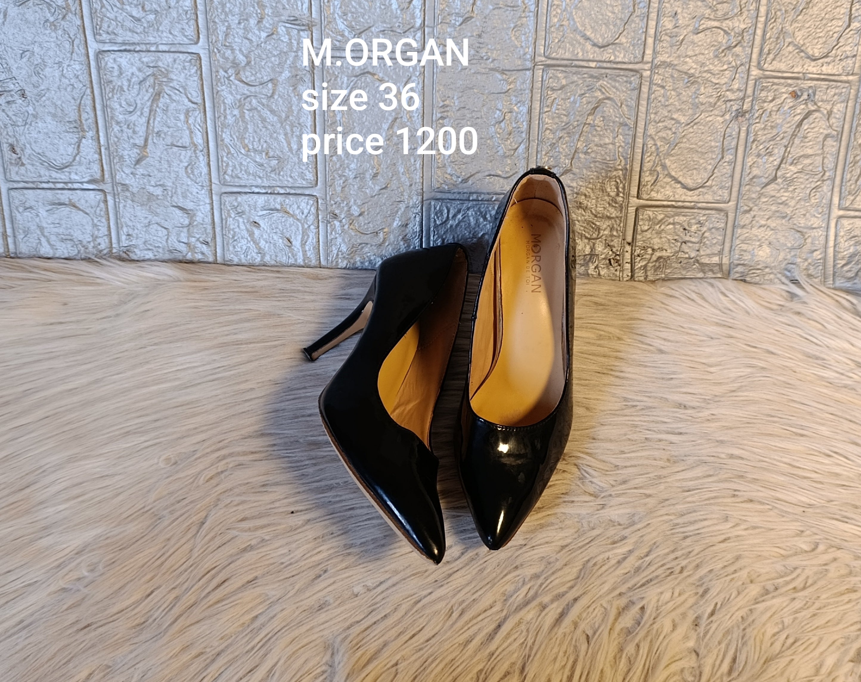 Morgan 36