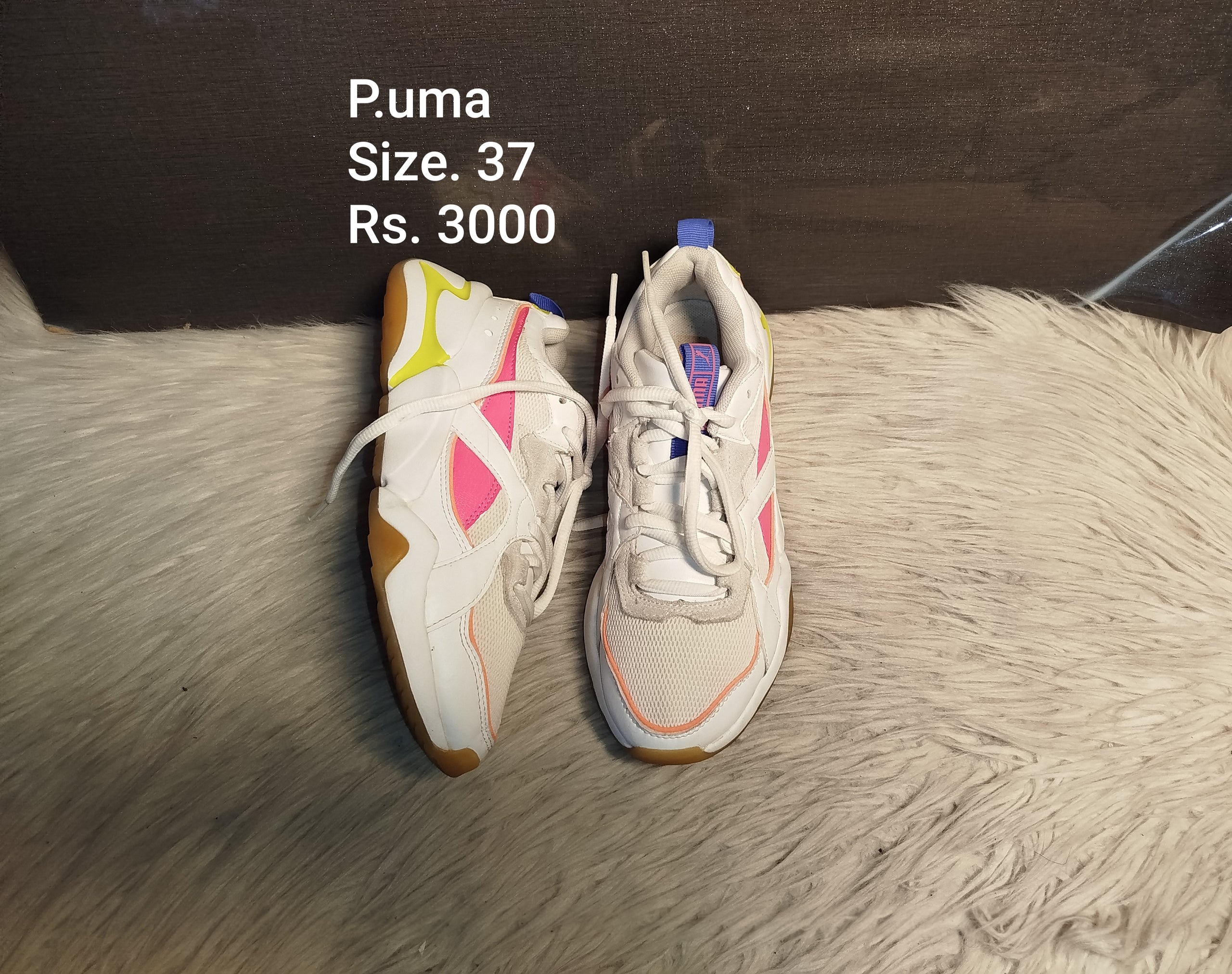 Puma 37