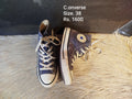 Converse 38