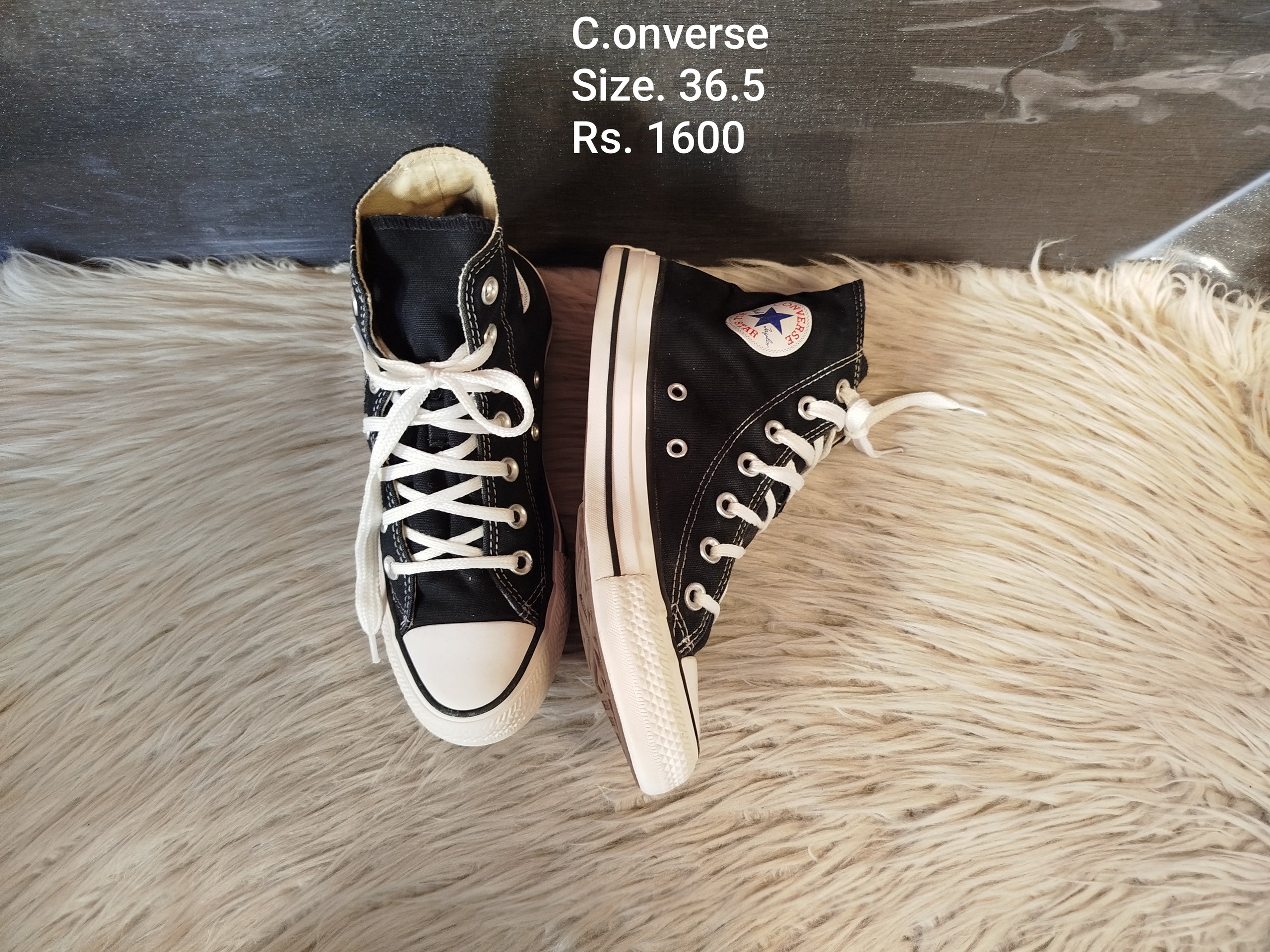 Converse 36.5