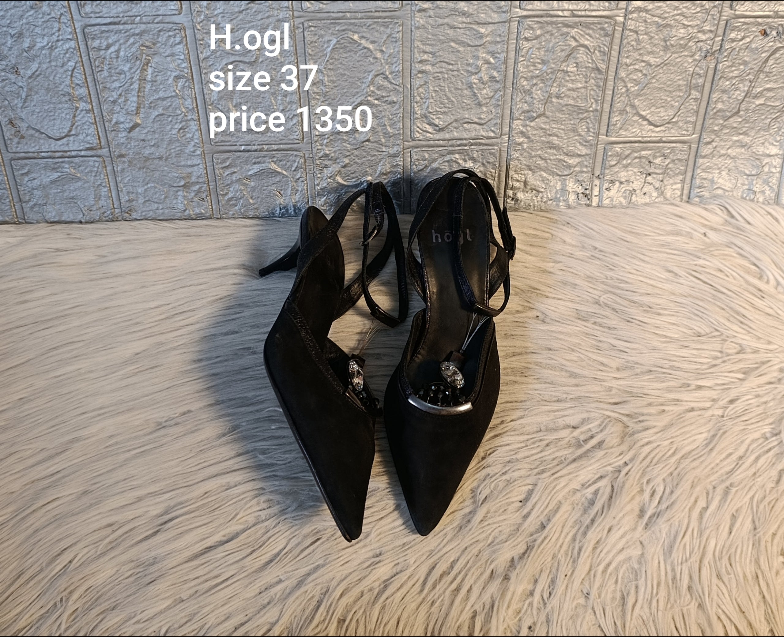 Hogi 37