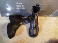 Osos 37