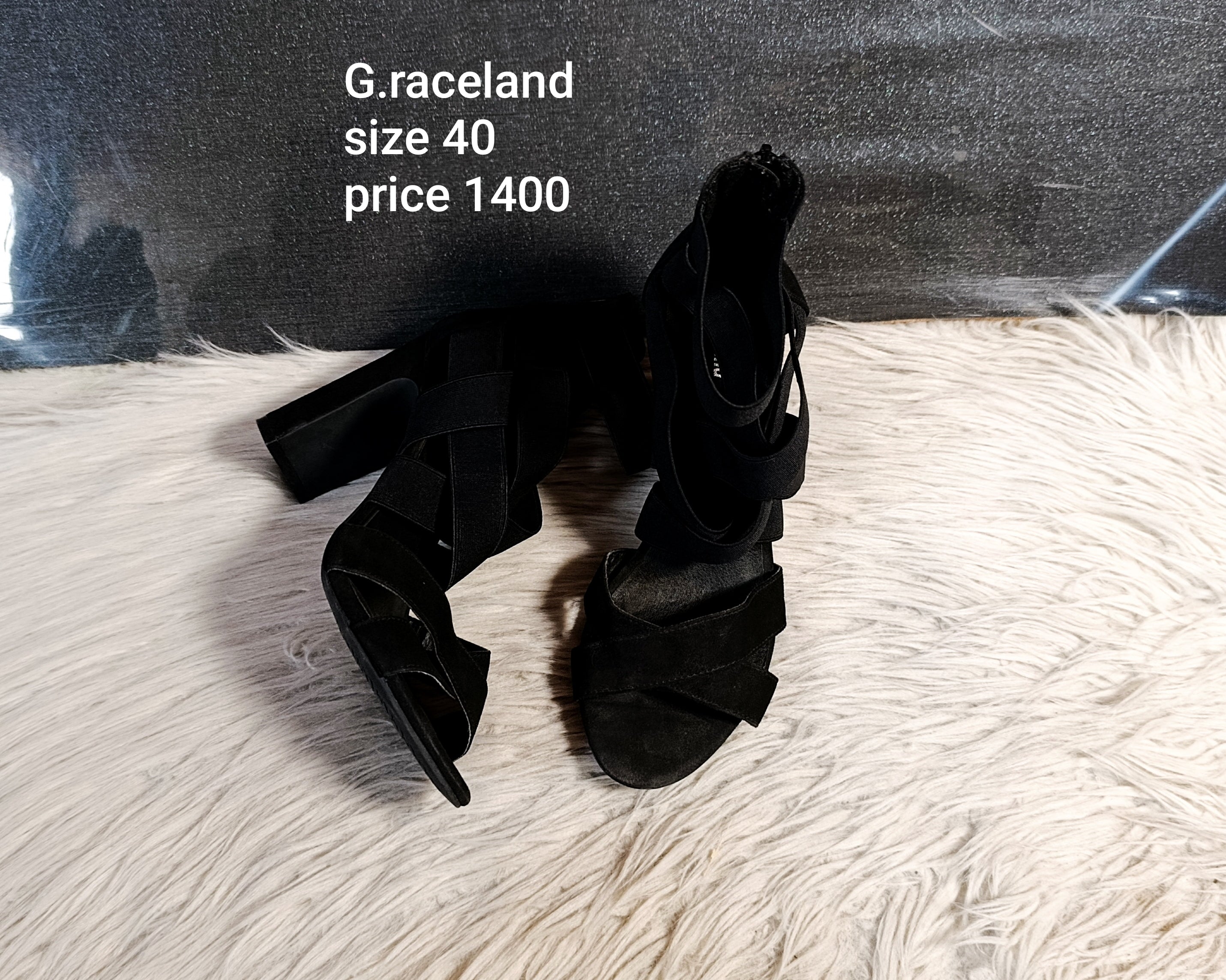 Graceland 40