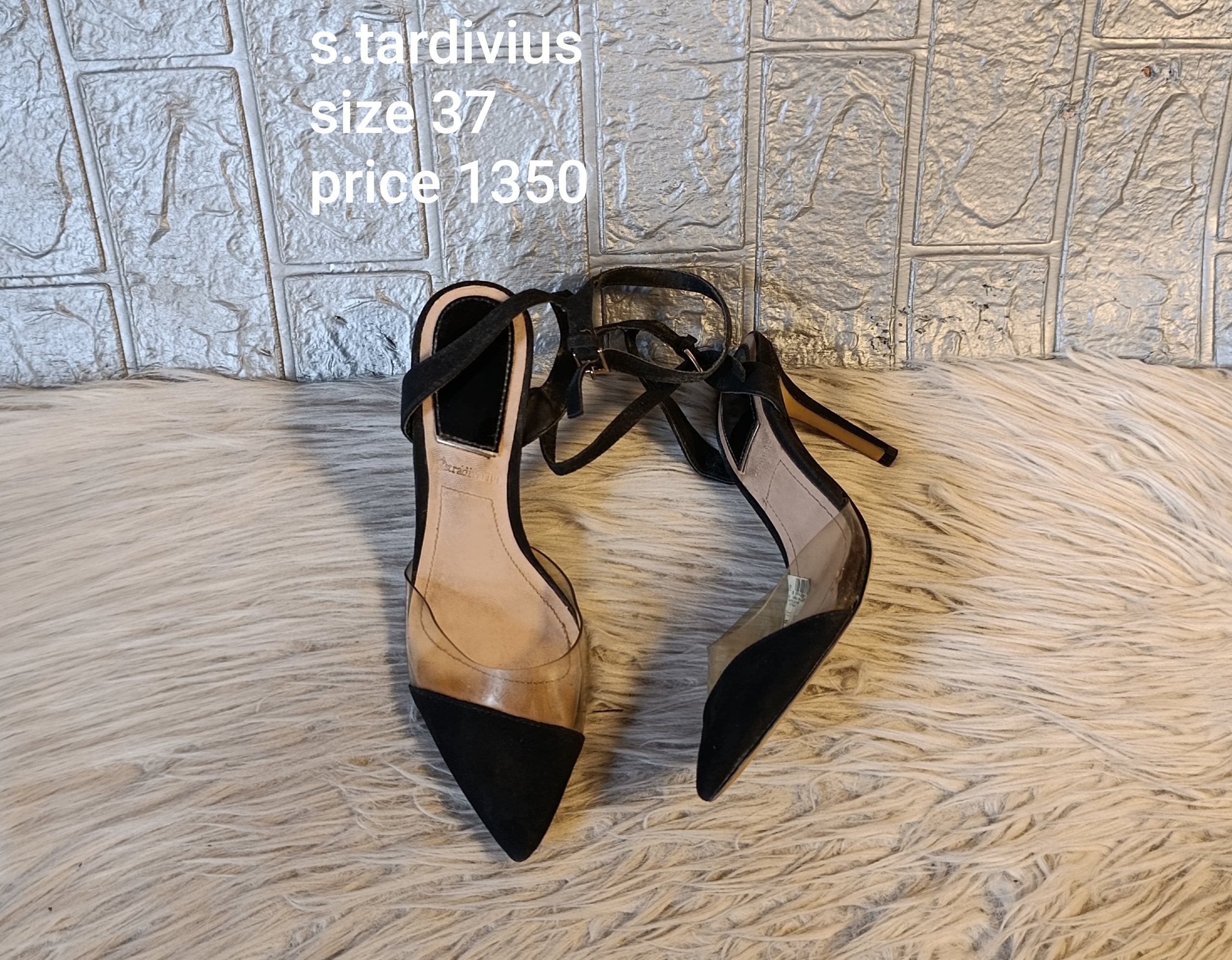 Stardivius 37