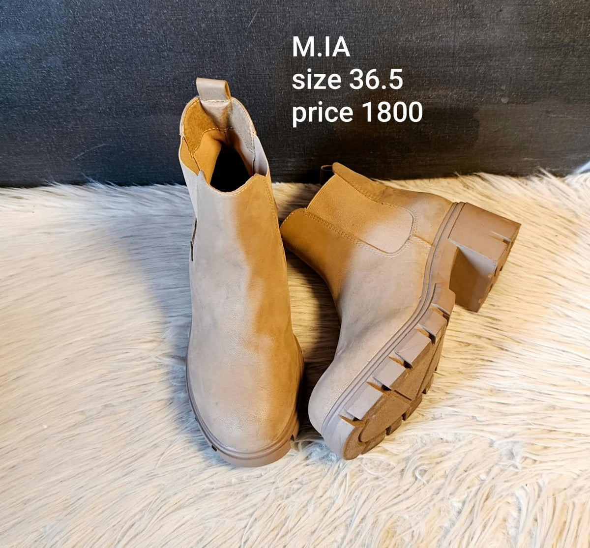 MIA 36.5