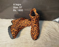 Alegra 37
