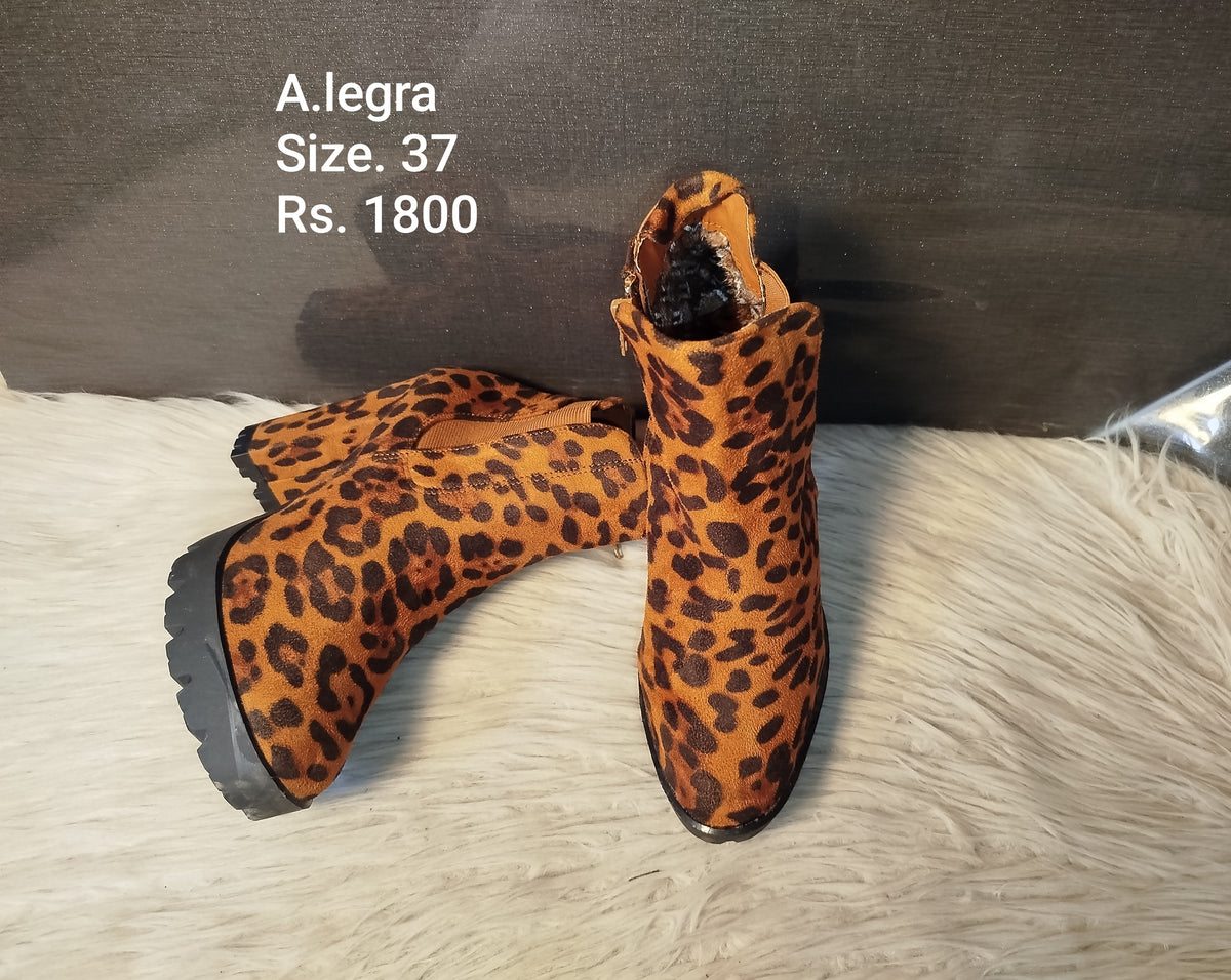 Alegra 37
