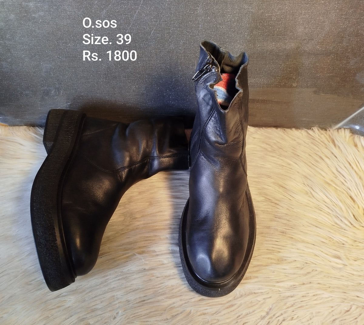Osos 39
