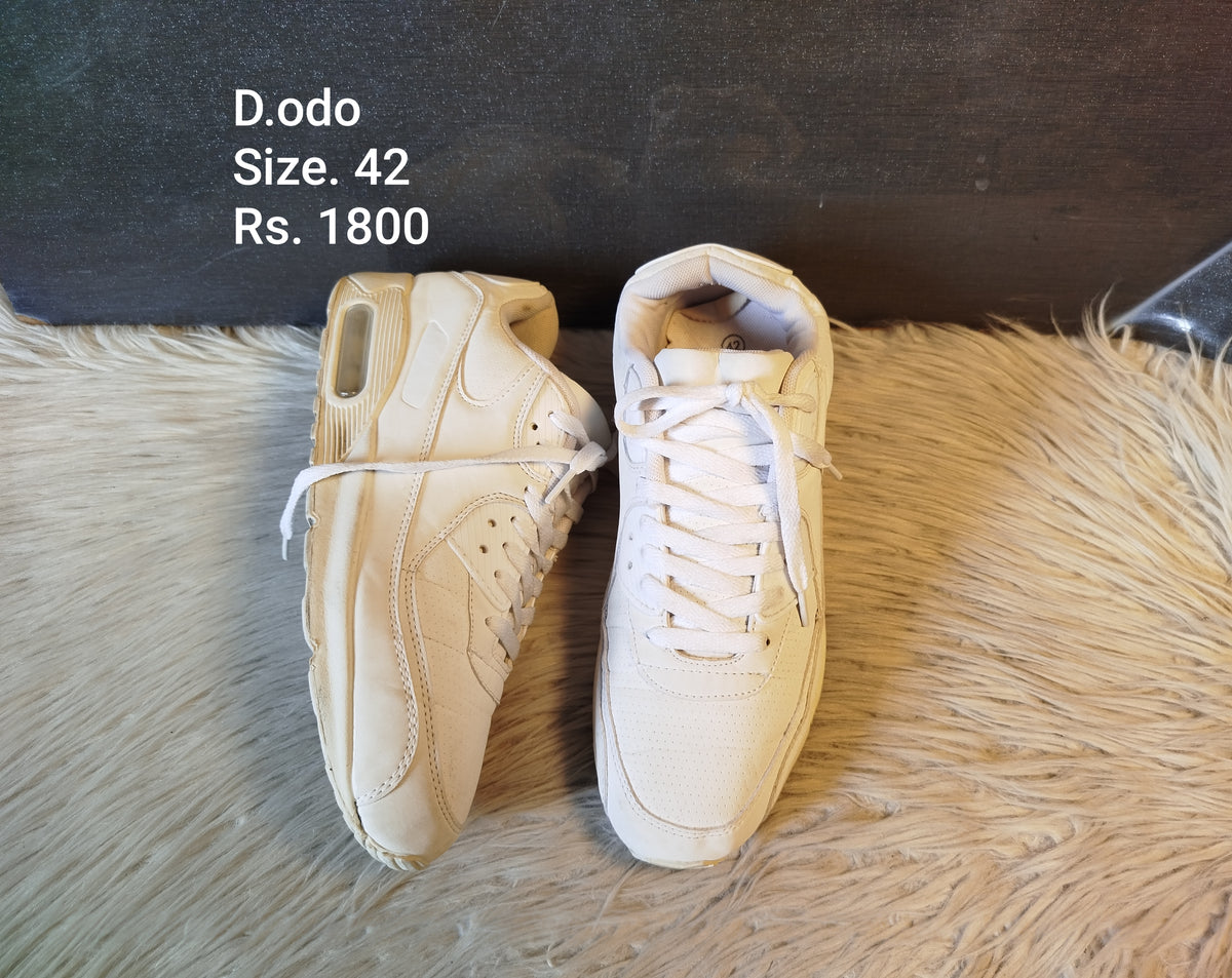Dodo 42