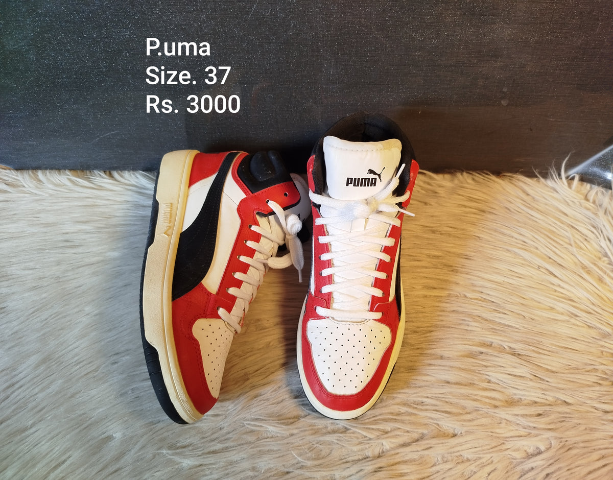 Puma 37