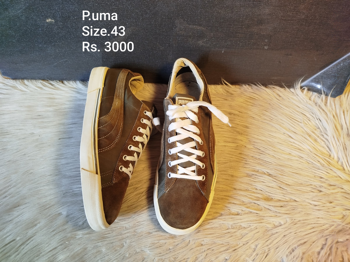 Puma 43
