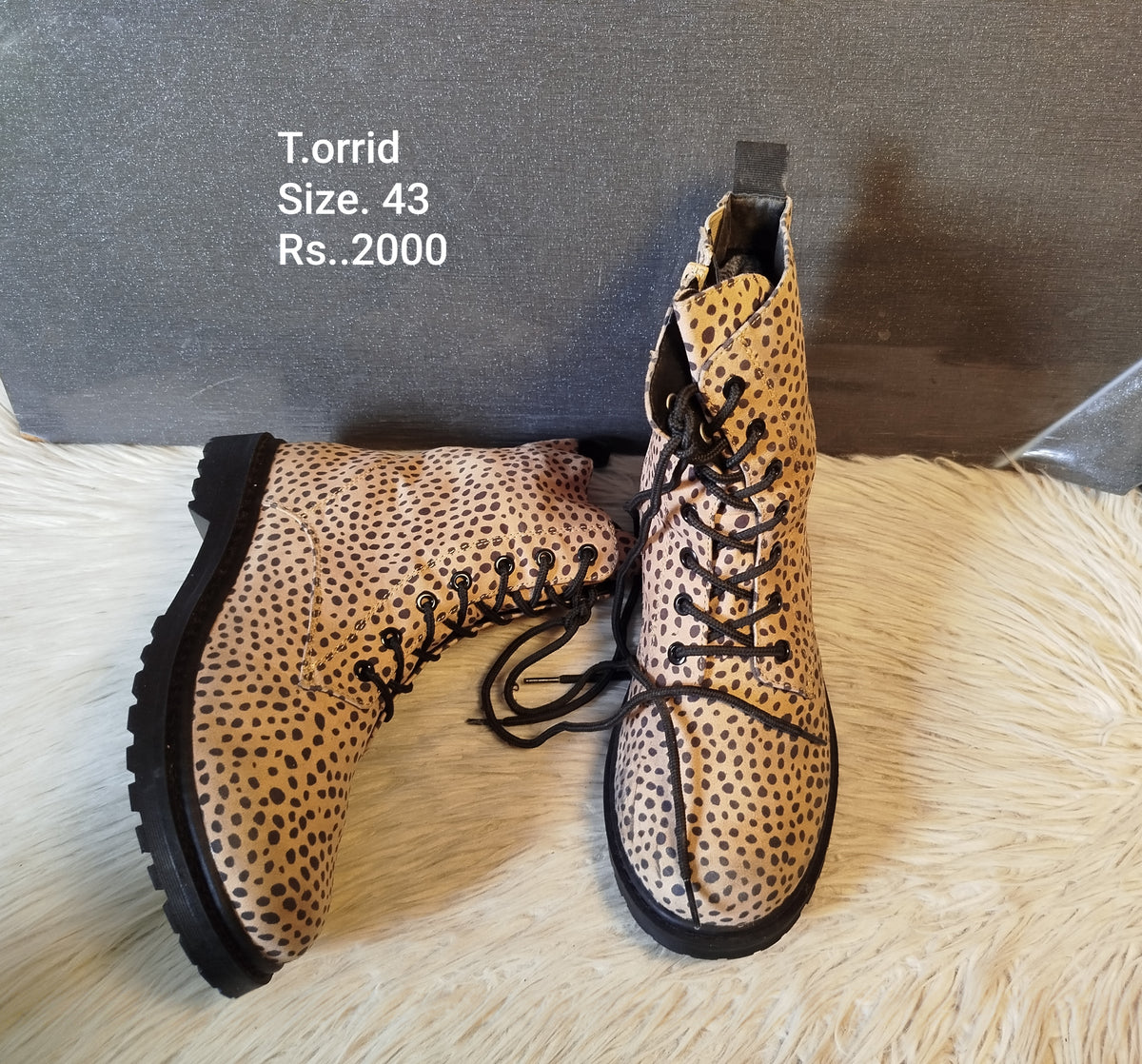 Torrid 43
