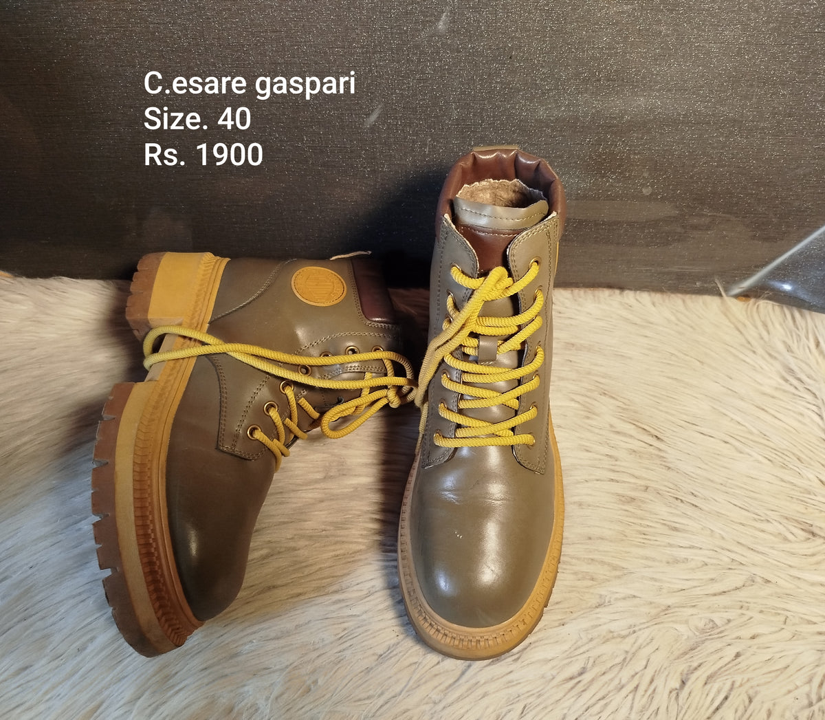 Cesare Gaspari 40