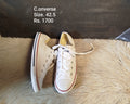 Converse 42.5