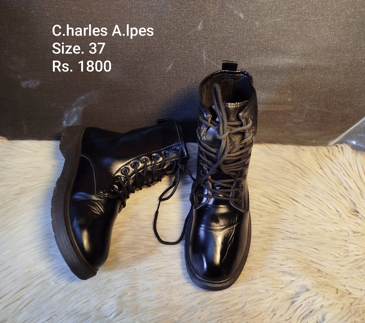 Charles alpes 37