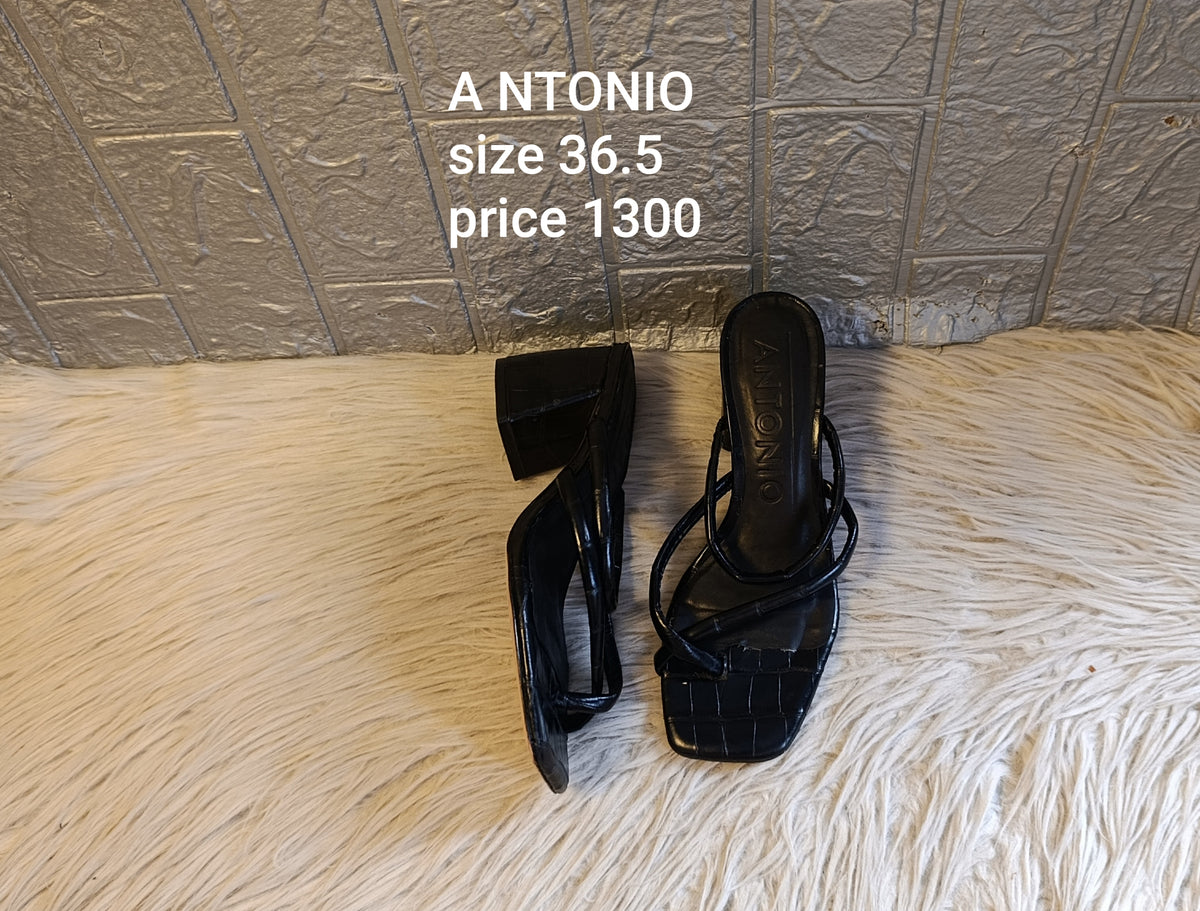 Antonio 36.5