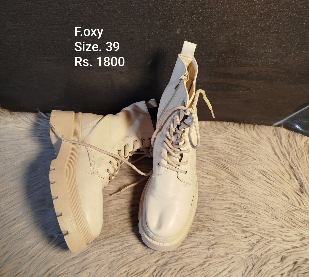 Foxy 39