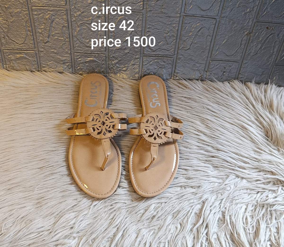 Circus 42
