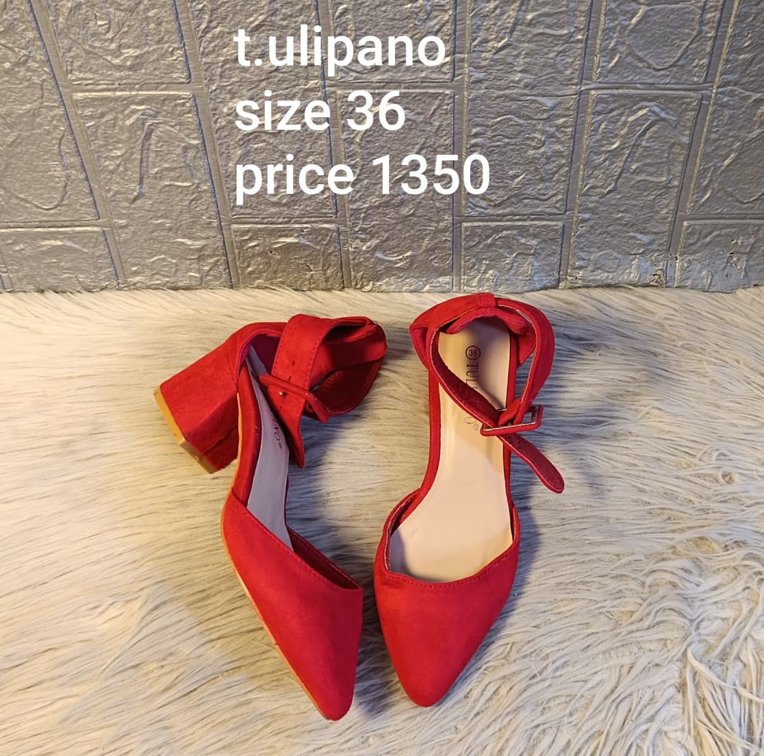 Tulipano 36