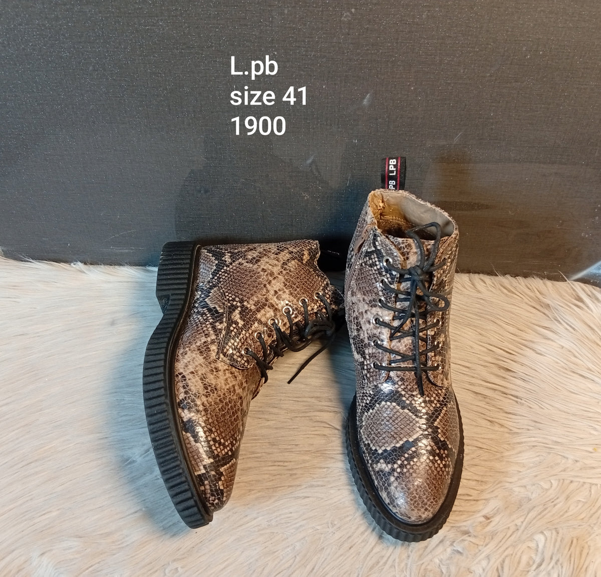 Lpb 41