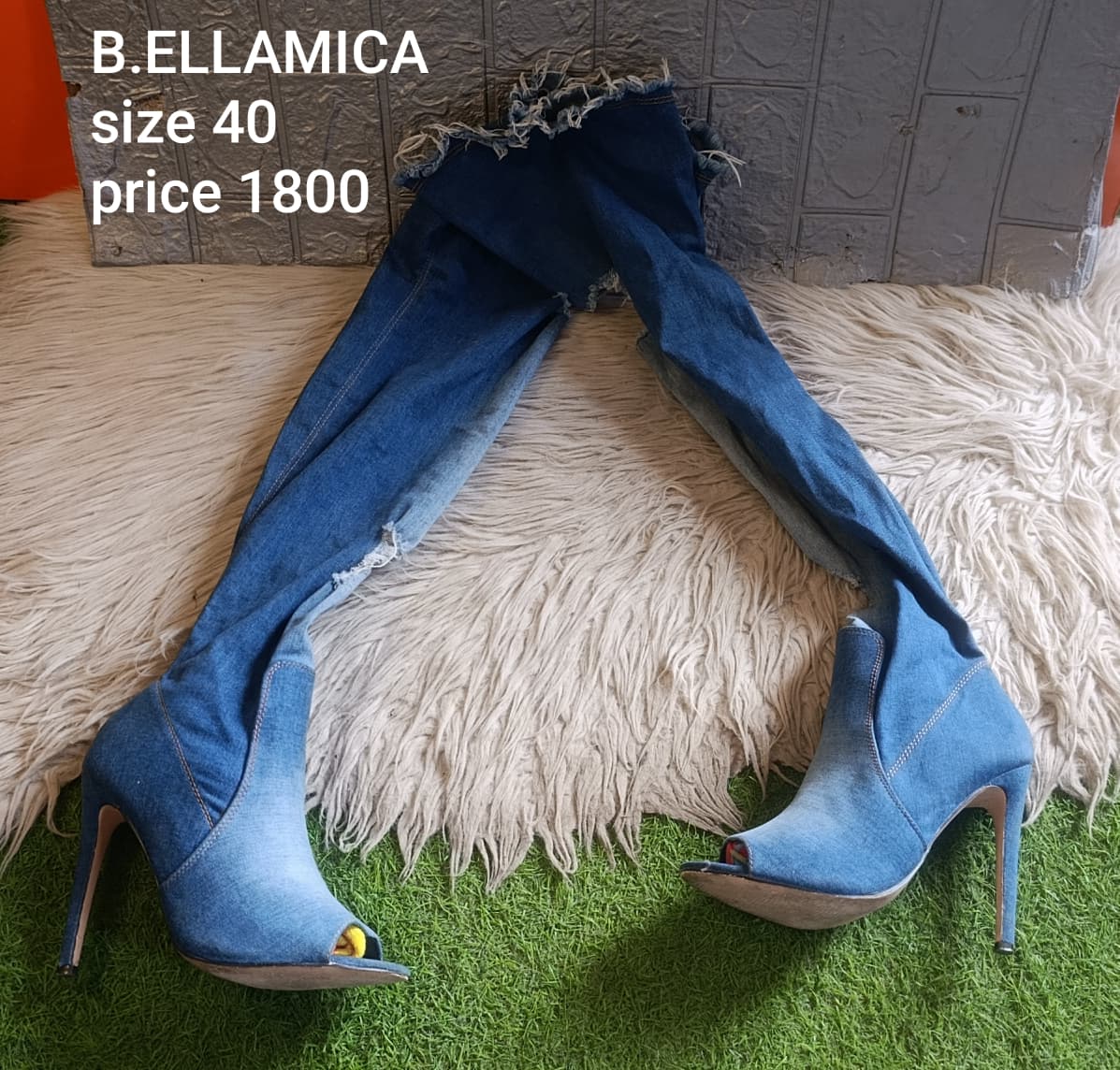 Bellamica 40