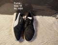 Puma 43