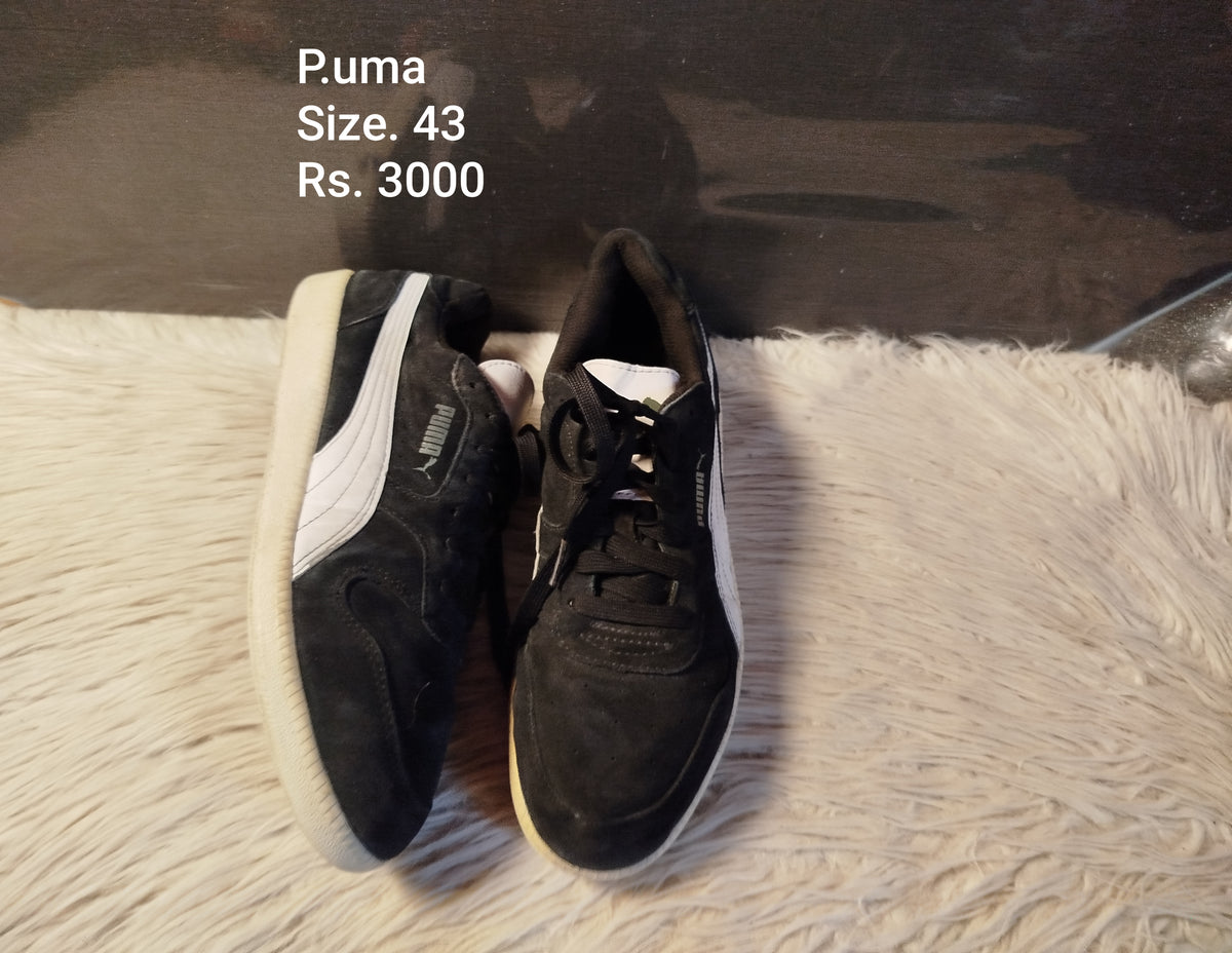Puma 43