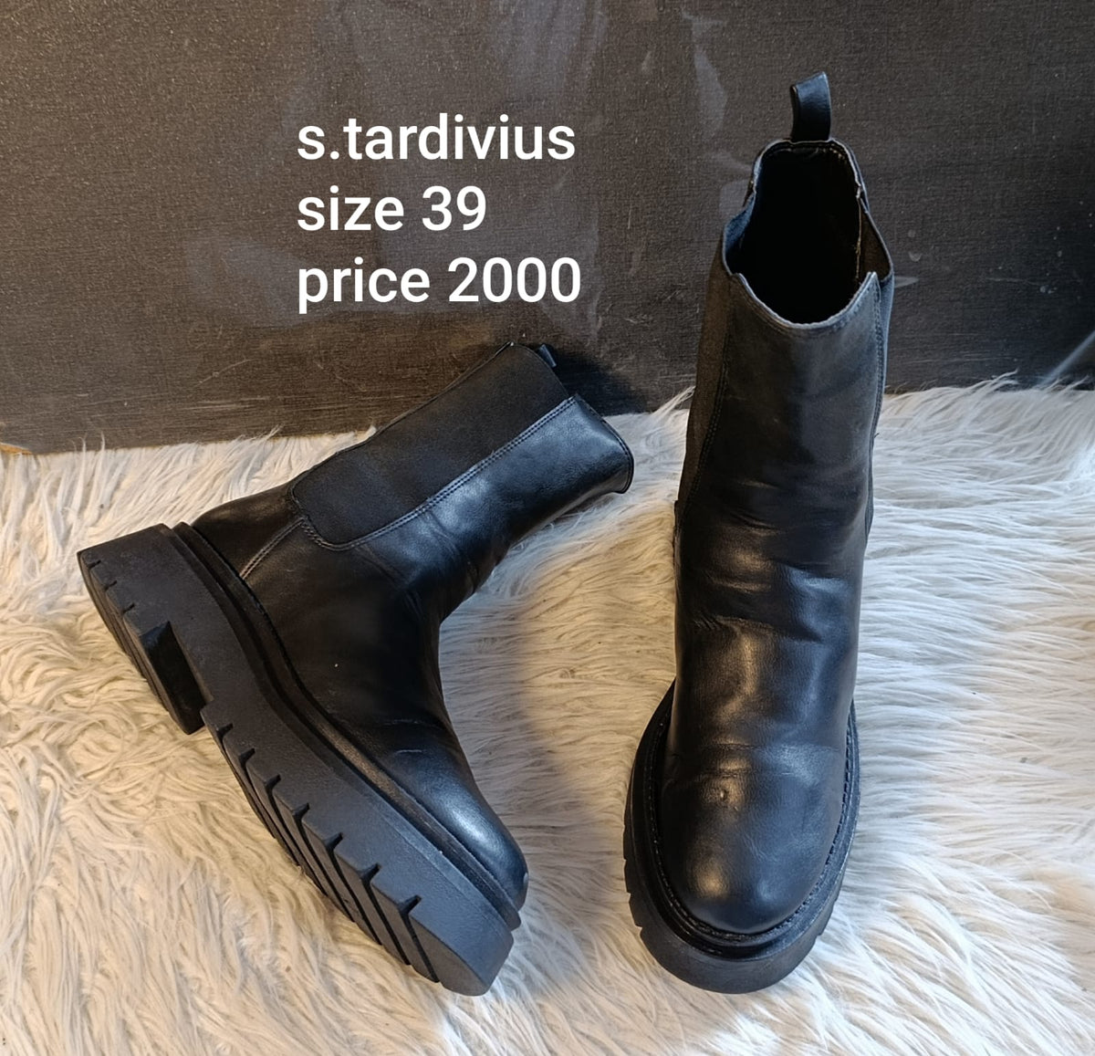 Stardivarius 39
