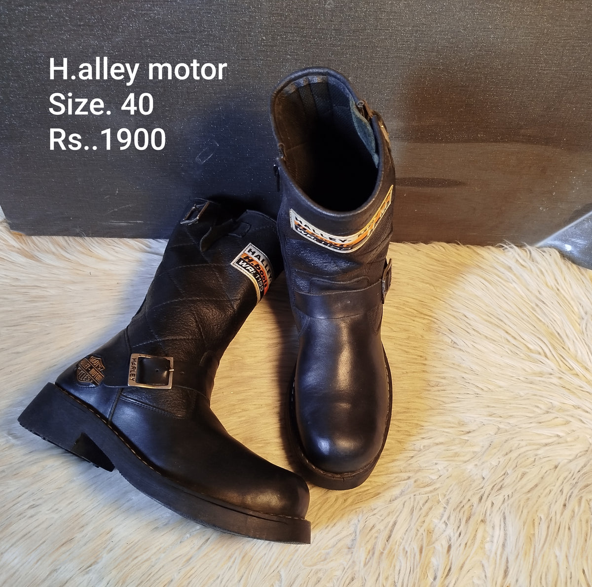 Halley motor 40