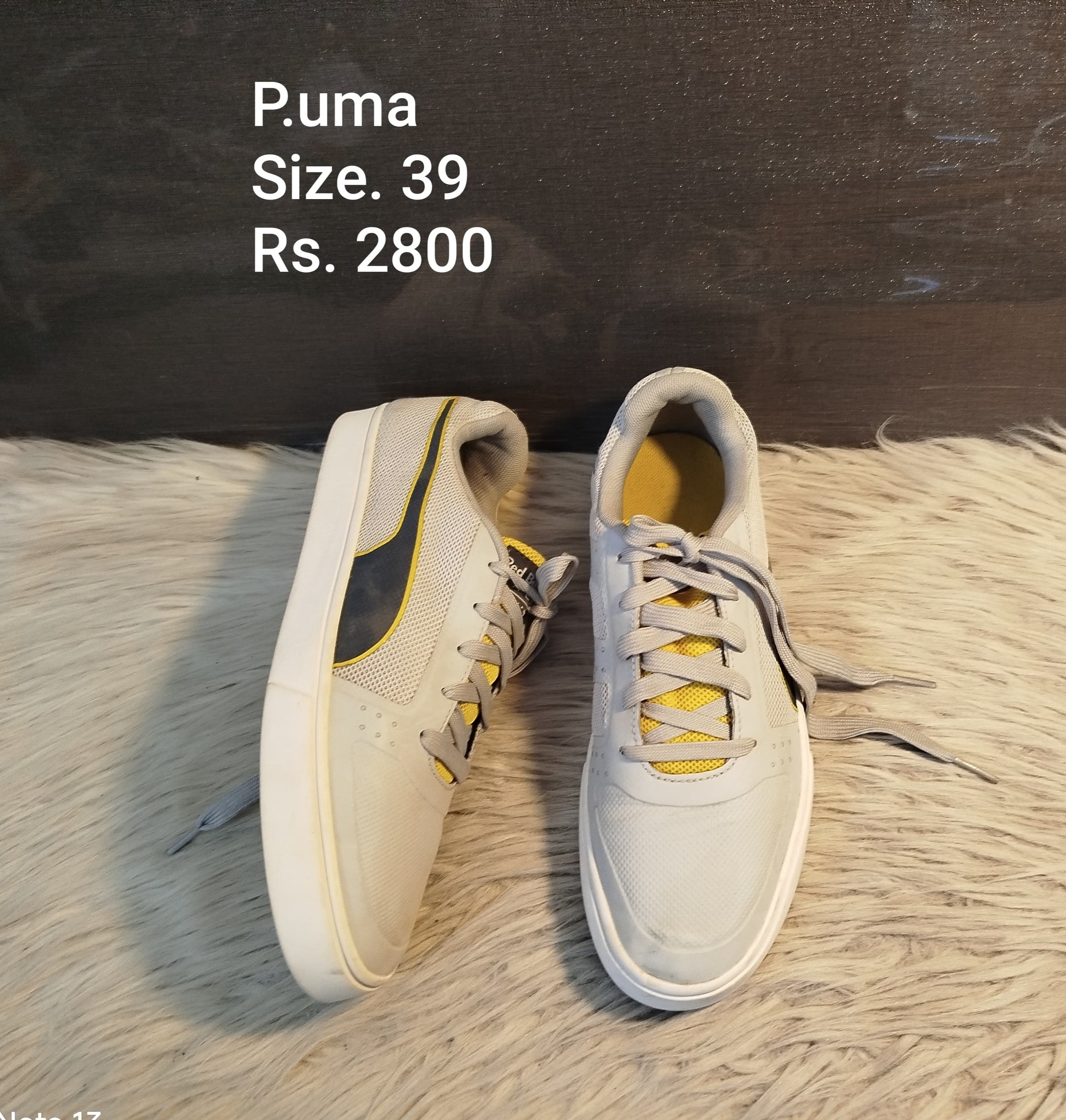 PUMA 39