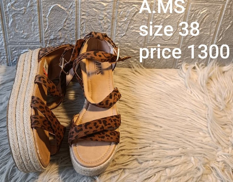 AMS 38