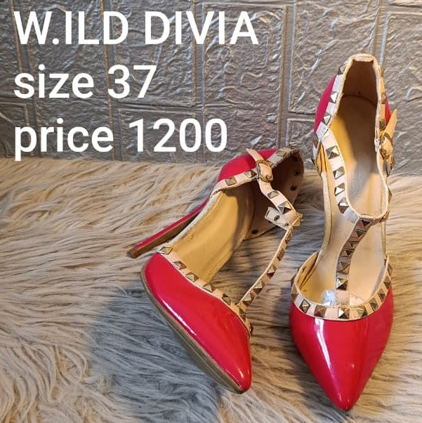 WILD DIVIA 37