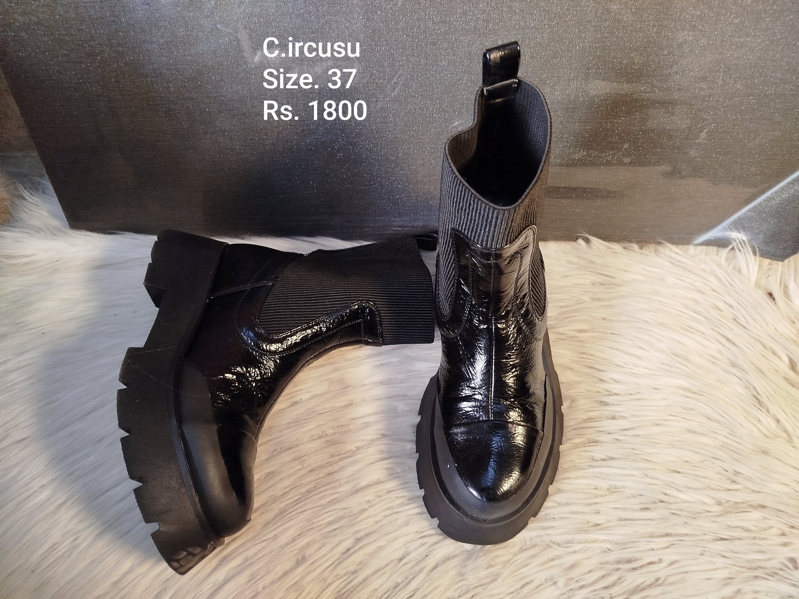 Circusu 37