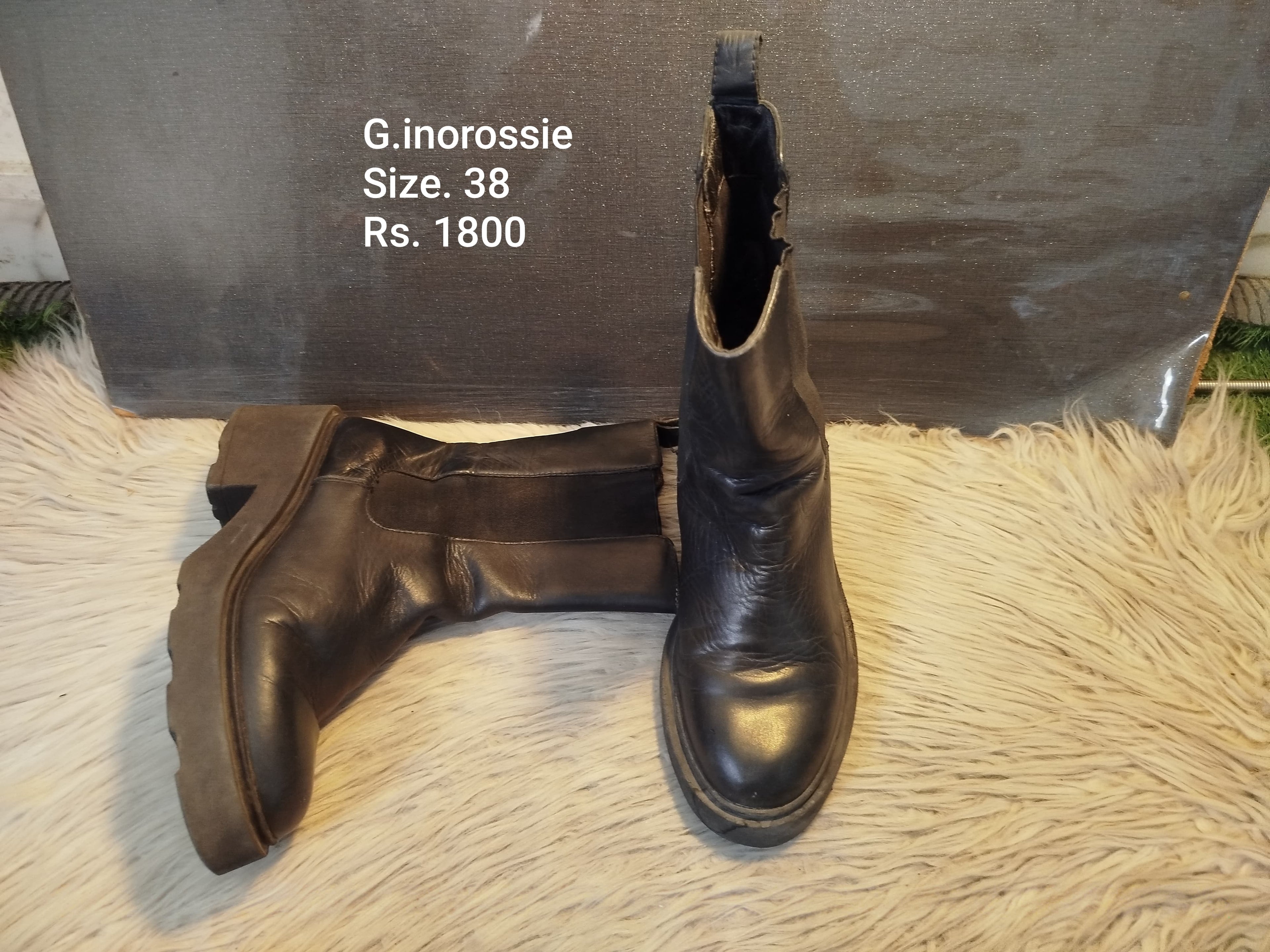 Ginodossie 38