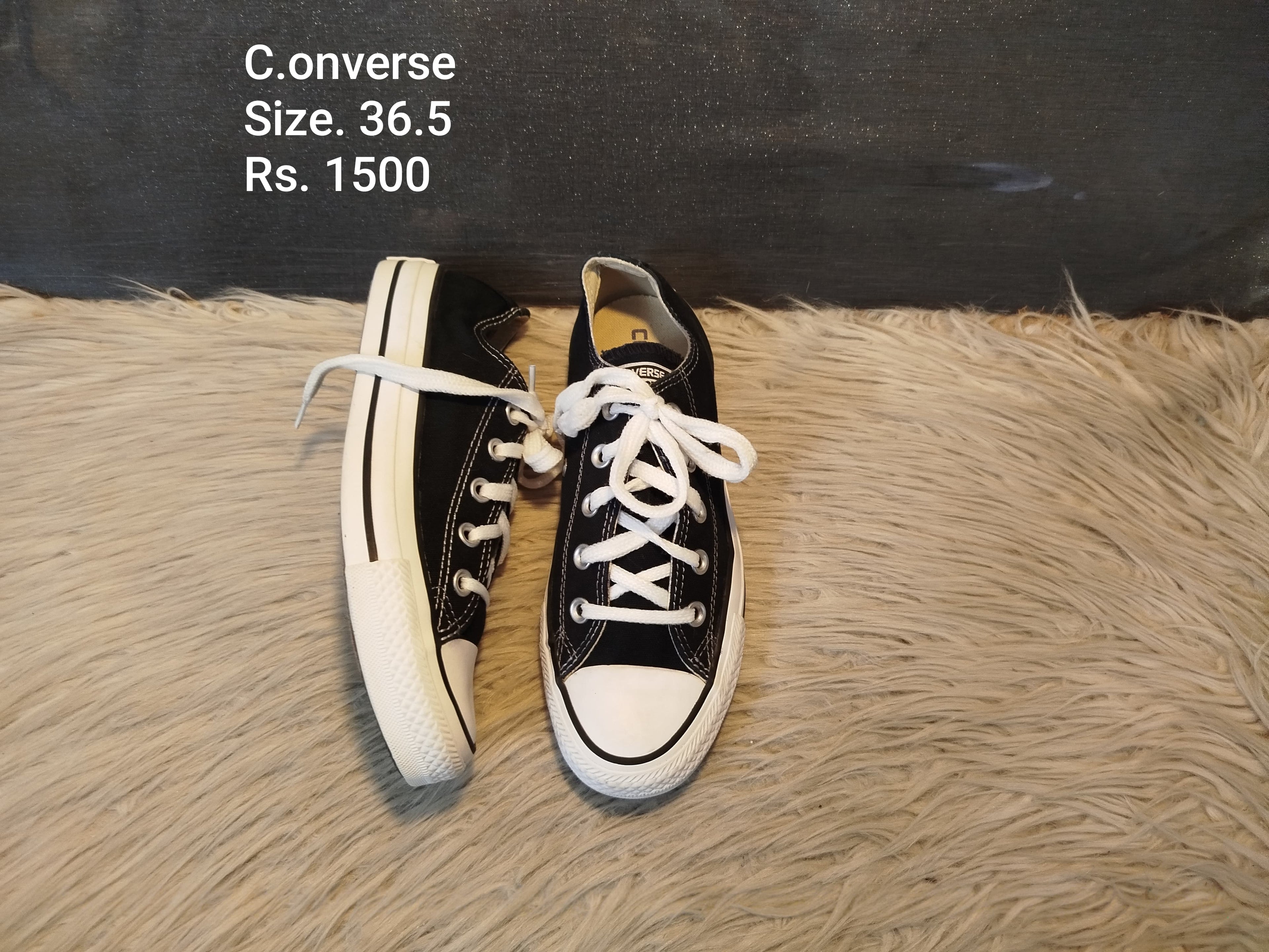 Converse 36.5