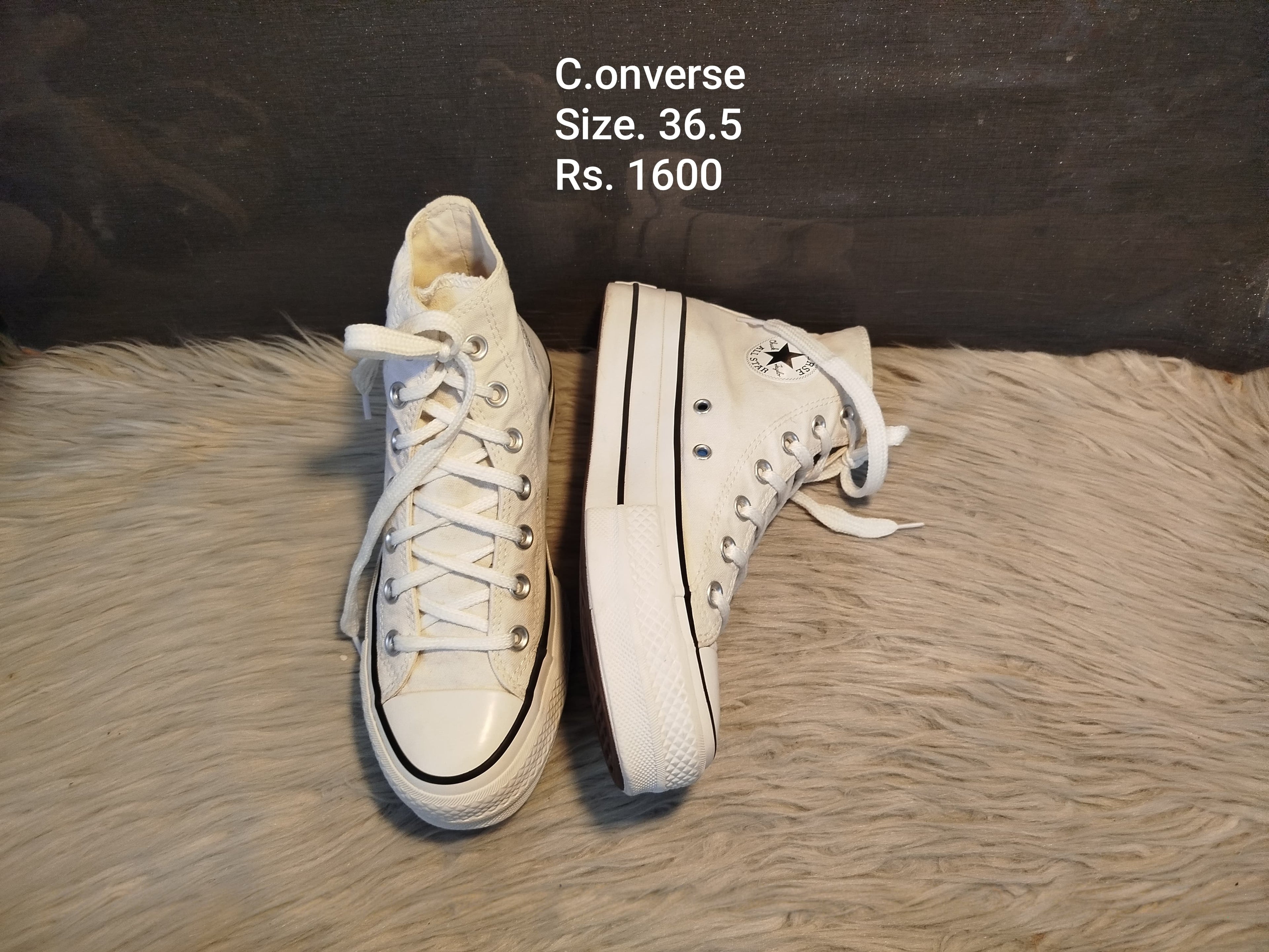 Converse 36.5