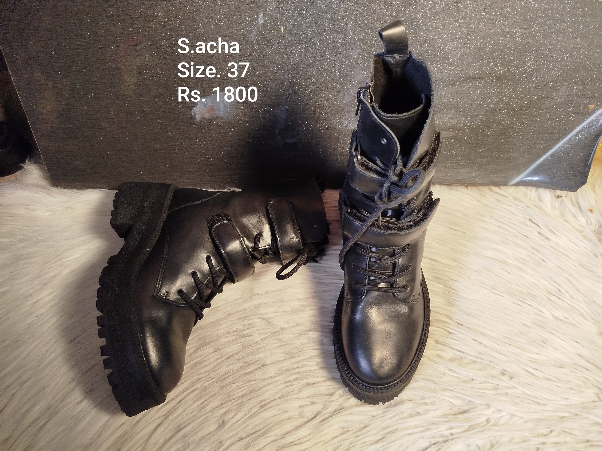 Sacha 37