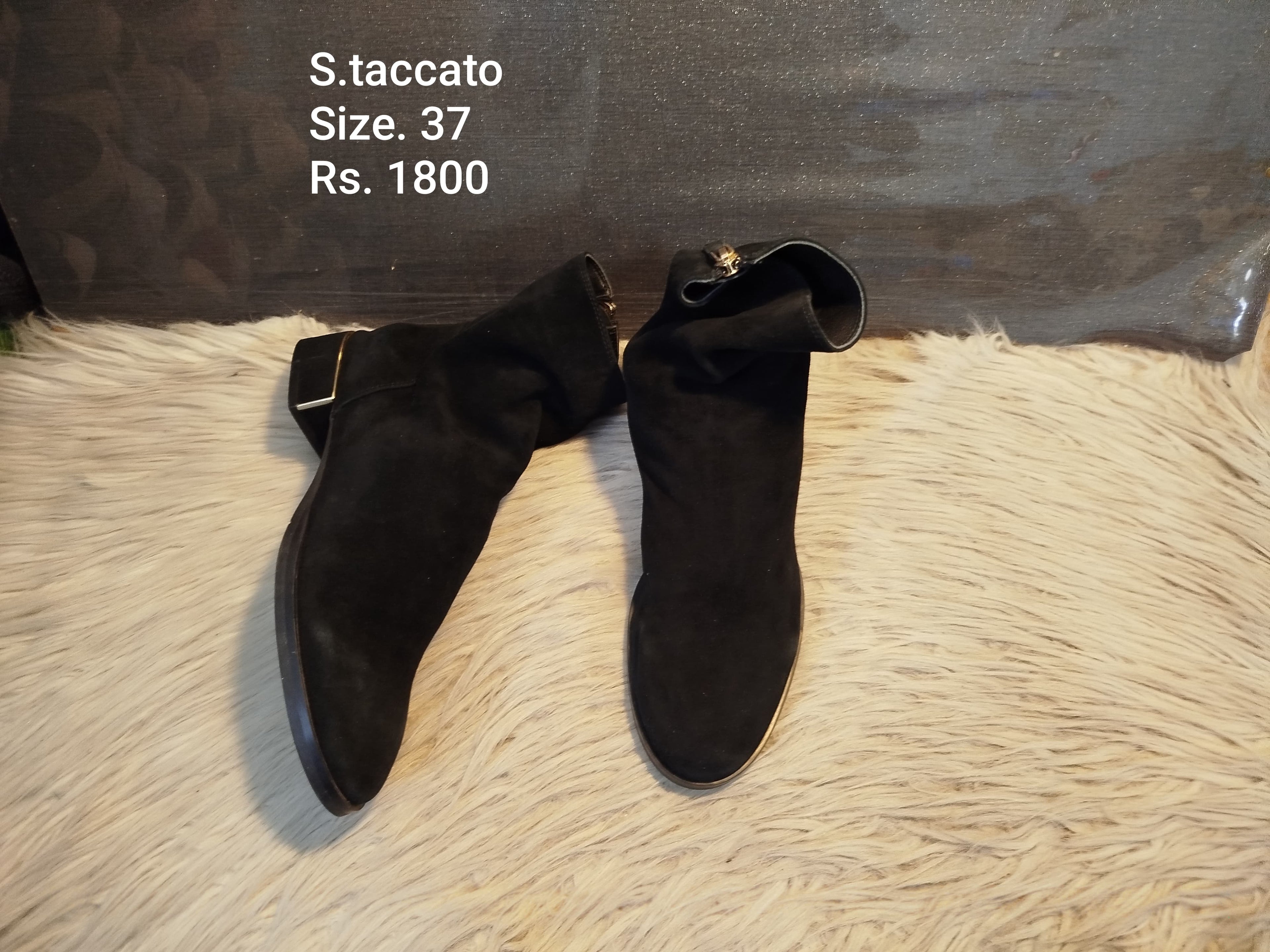 Staccato 37