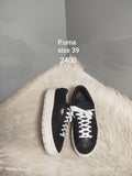 Puma 39