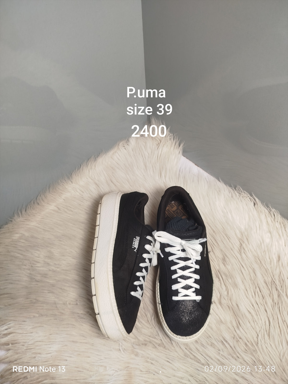 Puma 39